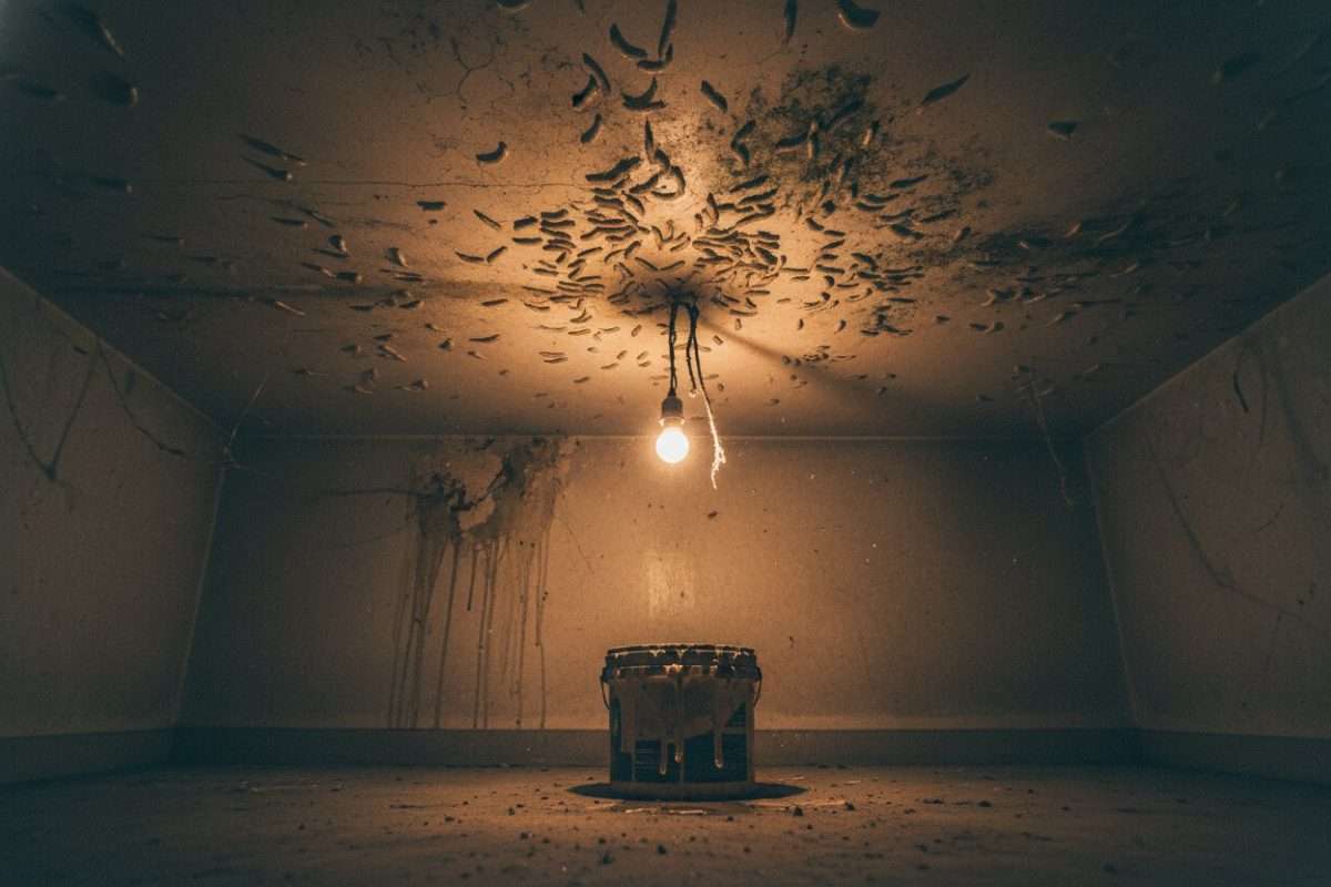 Asticot au plafond : comprendre et éradiquer l’invasion