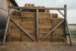 Mur terre paille : construction, matériaux et techniques